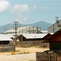 view_of_the_hills
