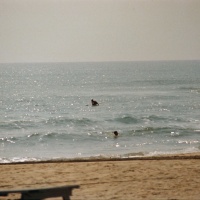 beach_view