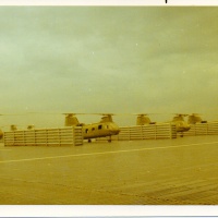 HMM-262 Flt Line