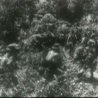 NVA Camouflage