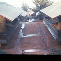 Hooches at Ky Ha with HMM-263.....fall of 67