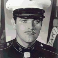 Medal Of Honor & Combat Air crew Wings?