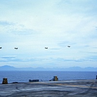 birds coming home to roost
