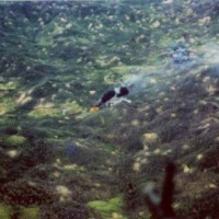 HMM-363 SOG Missions