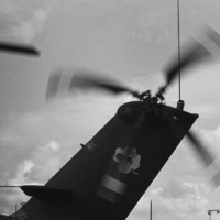 Red Lion Tail Rotor