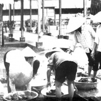Laundry Maids
