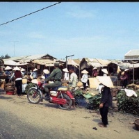 Roadside market