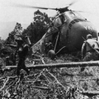 HMM-364 PURPLE FOXES UH-34D YK-19