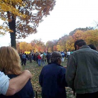 Veterans Day Photos @ Wall