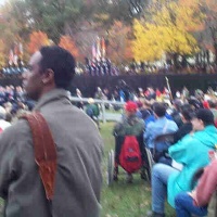 Veterans Day Photos @ Wall