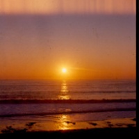 Early Morn in June at MMAF