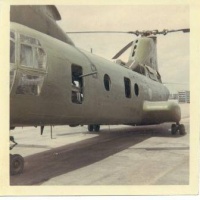 great war bird sitting on tarmac marble mt. rsvn