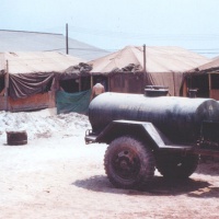 Water buffalo and temporary quarters