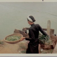 Vietnamese Woman
