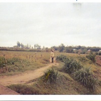Vietnamese Woman Near Quang Tri Air Base
