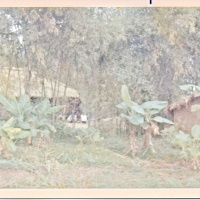 Village Near Quang Tri Air Base