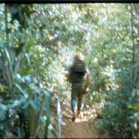 on patrol