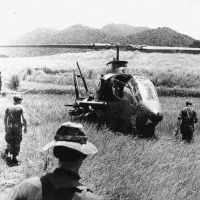 A Downed Cobra
