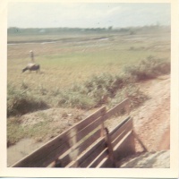 Child Standing on top of a Water Buffalo
