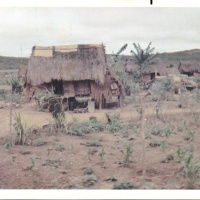 Vietnamese House