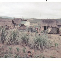 Vietnamese Houses