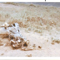 Destroyed Jeep by Mine