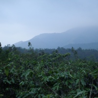 Khe Sanh 2009