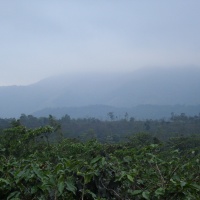 Khe Sanh 2009