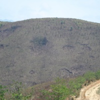 Bomb Craters near Hill 881