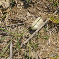 More Ordnance