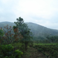 Hill 861