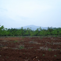 Camp Carroll