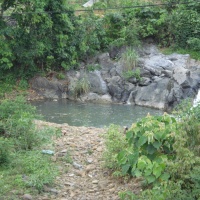 Swimming Hole