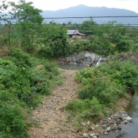 Swimming Hole