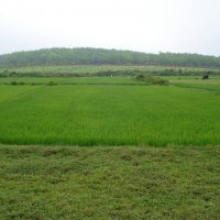 Hill 70