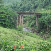 On Rt 9