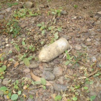 Ordnance found on Hill 25