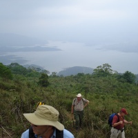 On Hill 861