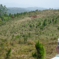 Hill 881