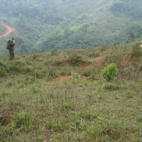 Bomb Crater