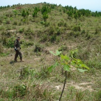 Standing in Bomb Crater