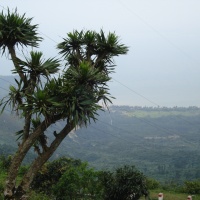 Hai Van Pass