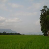 Hill 25
