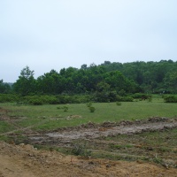 Hill 70