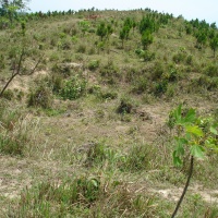 Hill 881