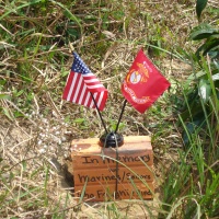 In Memory of... Hill 881