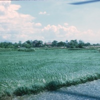 Landing in flooded rice paddy