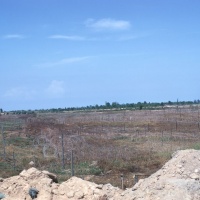 LZ Baldy wire