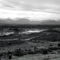 Elephant Valley
