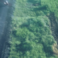 Low level down Highway one